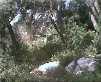 12052005009_G.jpg