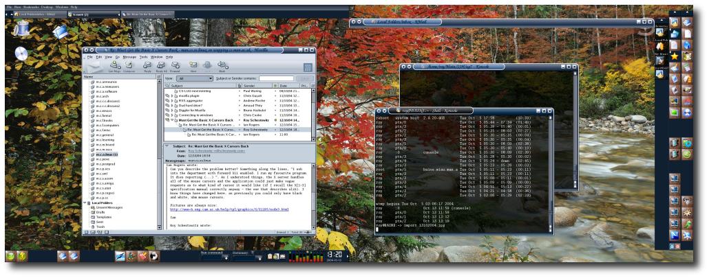 13102004_X_Pointer_Problem.jpg