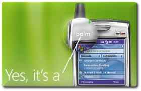 Palm on Windows