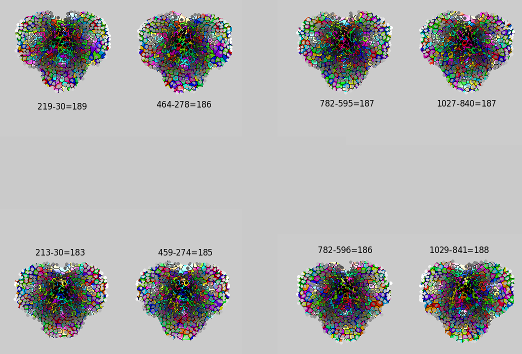 Image false-geodesic-no-line-barrier-350-points-increase-to-2000-vertices-with-measurements
