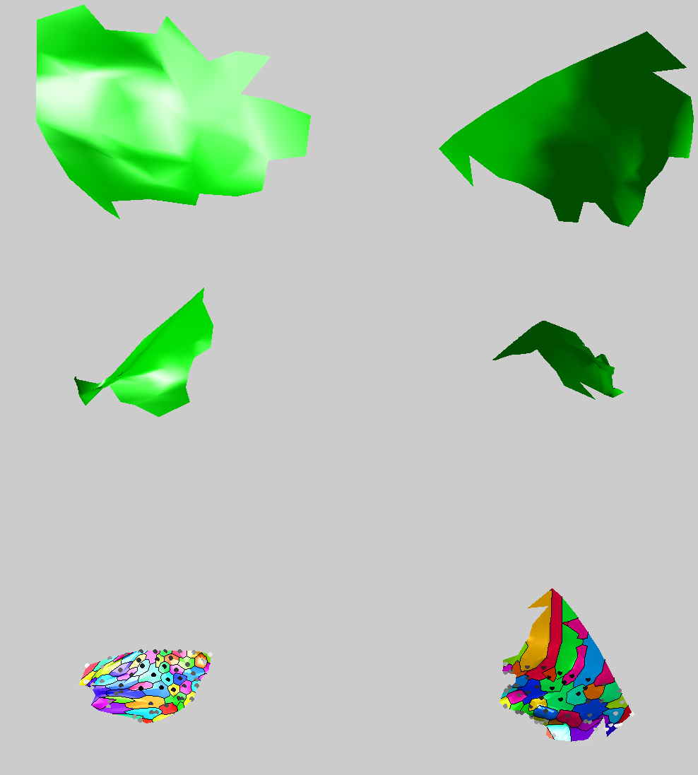 Image geodesic-crop-experimental-small