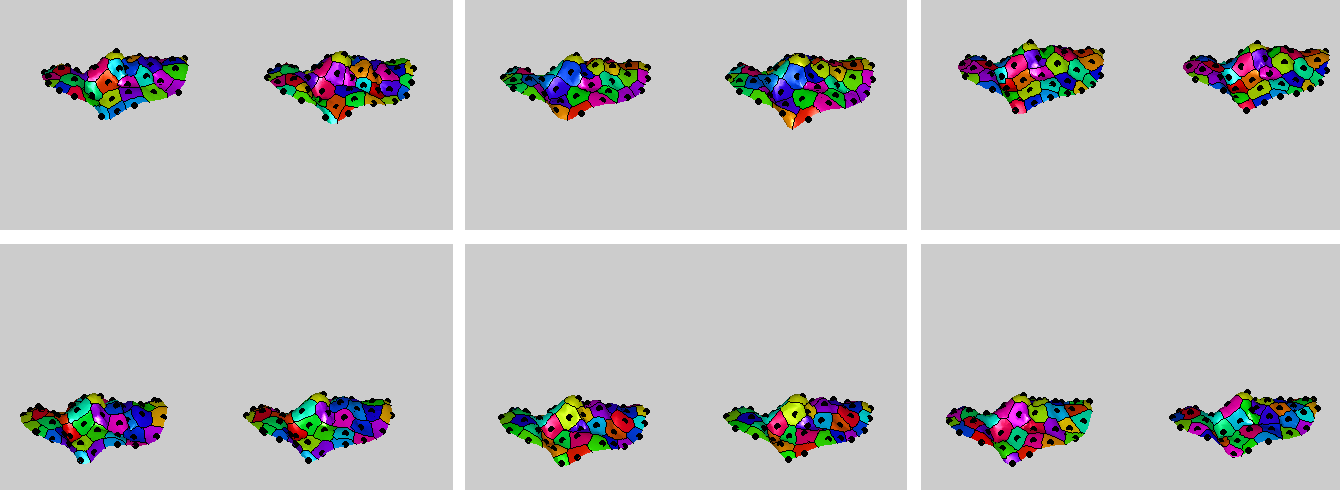 Image stress-full-face-originals