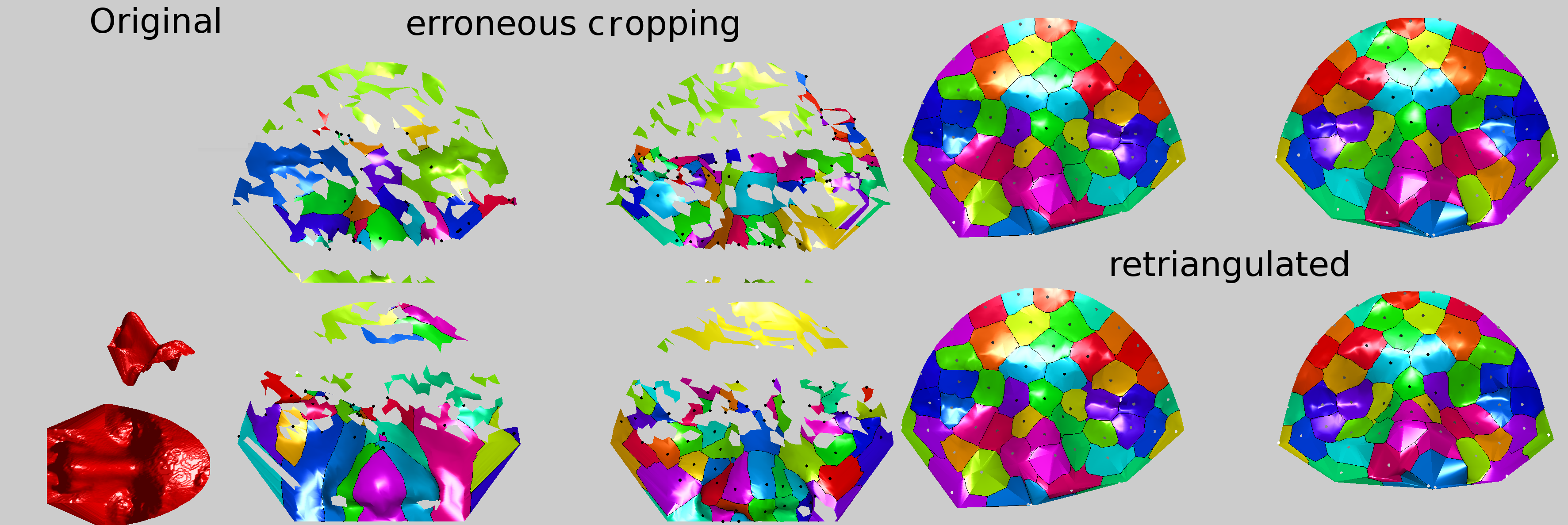 Image triangulation-cropping-bugs