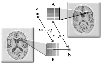 \includegraphics[%
scale=0.4]{Journal_Graphics/Shuffle/brains_shuffle_symmetric.eps}