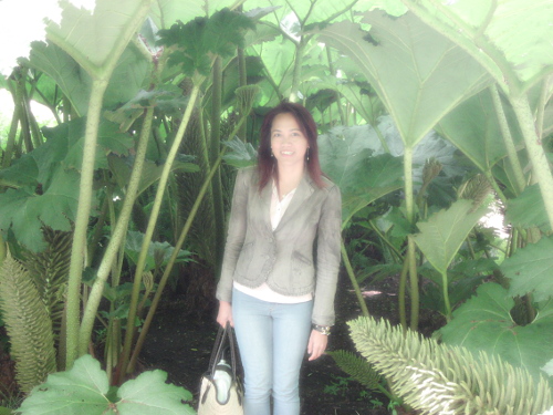 royal botanic garden 4