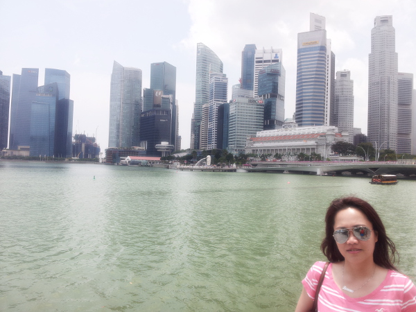 singapore skyline 8