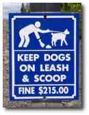 Dog fine sign