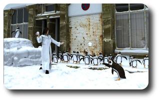 Season of the playful penguins