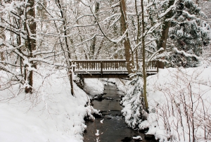 Creek in December