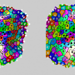 20-layers-coarse-after-improvements