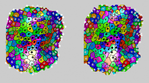 20-layers-coarse-after-improvements
