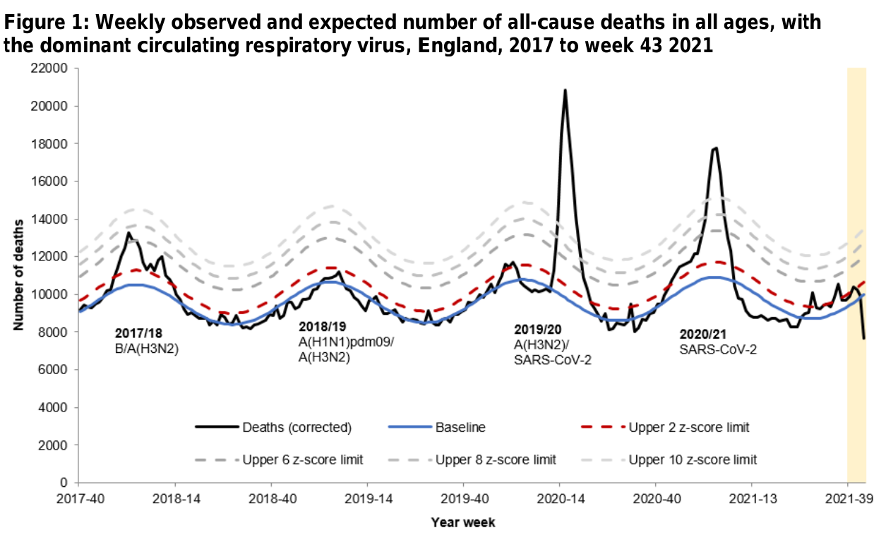 England excess deaths