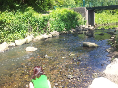 Clayton Vale