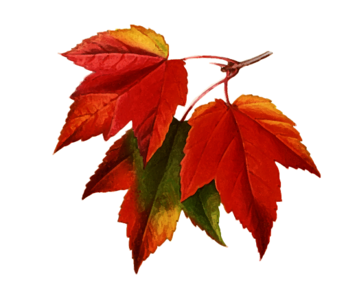 Autumn Leaves Watercolor Painting